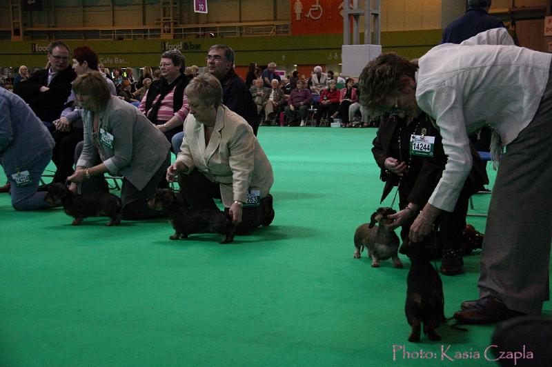 Crufts2011_2 1400.jpg